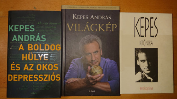 3 knyv Kepes Andrstl: A boldog hlye s az okos depresszis, Vilgkp, Beszlgetsek