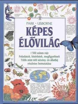 Kpes lvilg - Usborne