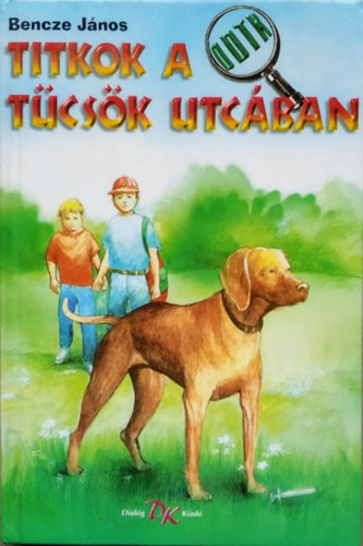 Titkok a Tcsk utcban