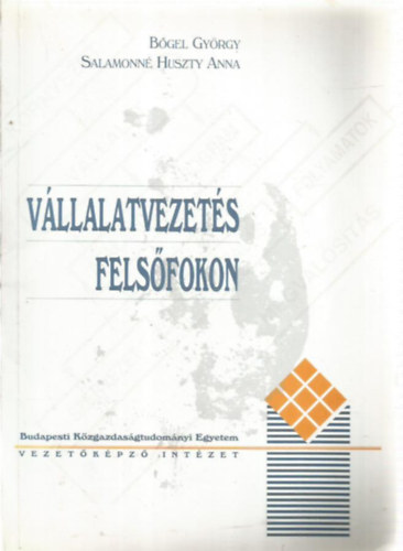 Vllalatvezets felsfokon