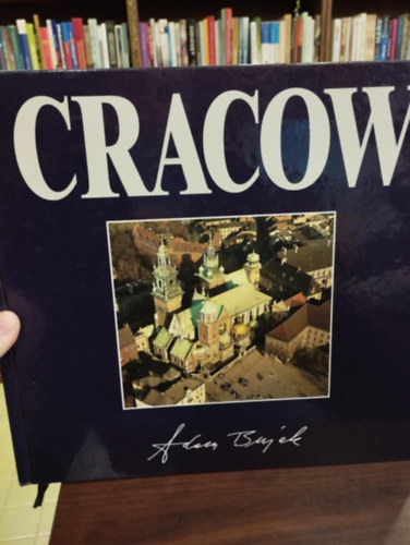 Cracow: from the air. /Krakk a magasbl/