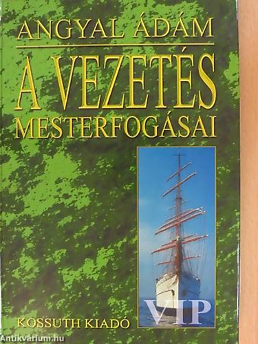 Angyal dm - A vezets mesterfogsai