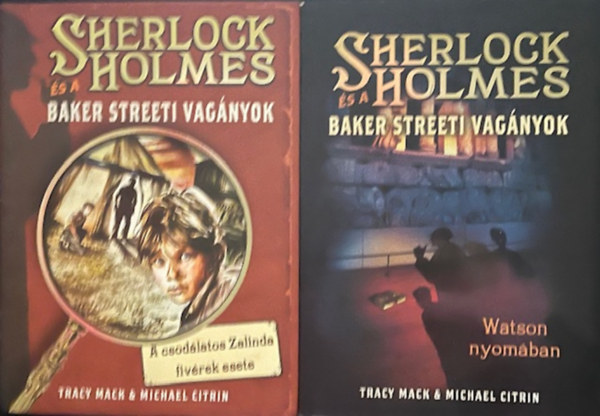 Sherlock Holmes s a Baker streeti vagnyok knyvcsomag (2 ktet )