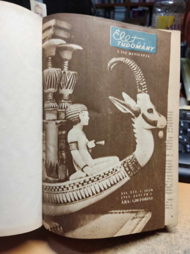 �let �s Tudom�ny 1964 �vfolyamb�l 16 db lapsz�m