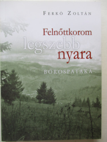 Felnttkorom legszebb nyara - Borospataka