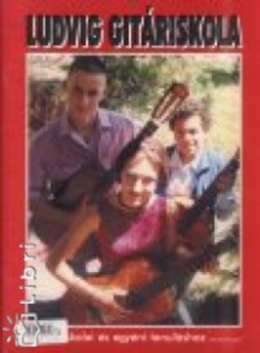 Ludvig gitriskola