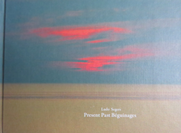 Laird Ryan Ludo Segers - Past Present Bguinages