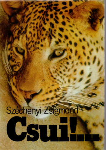 Csui!...