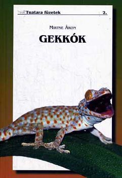 Gekkk