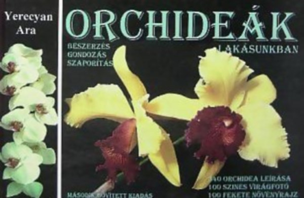 Orchide�k lak�sunkban