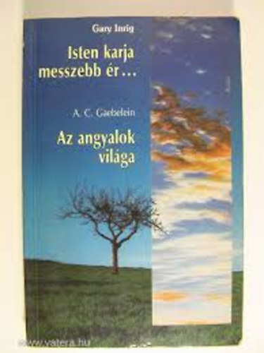 Gary Ingrid; A.C. Gaebelein - Isten karja messzebb r... - Az angyalok vilga