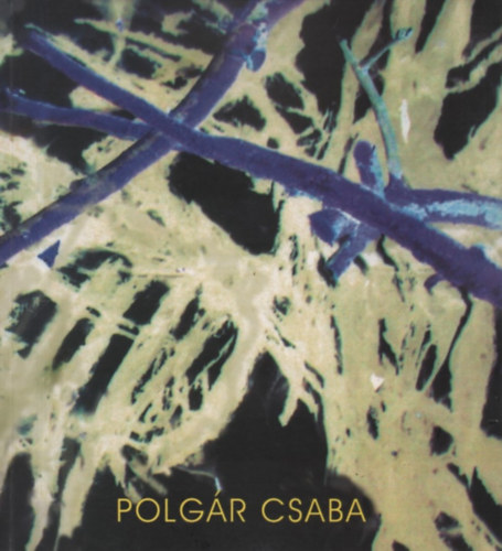 Polgr Csaba (Installci / Performance)