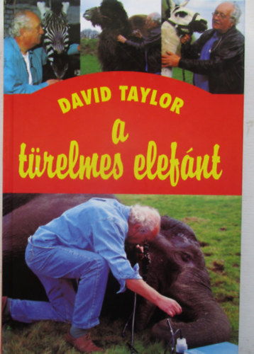 A türelmes elefánt