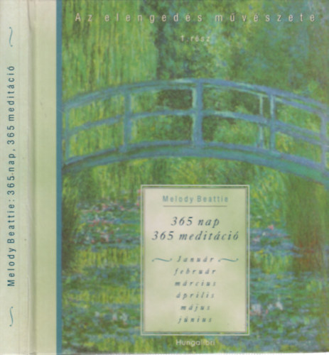 365 nap - 365 medit�ci� (Az elenged�s m�v�szete 1. r�sz)