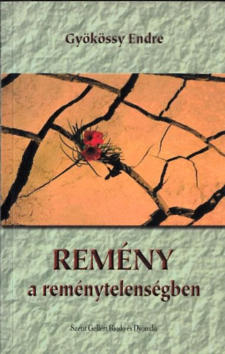 Remny a remnytelensgben