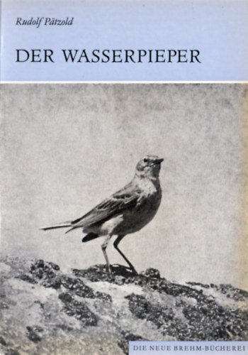 Rudolf Ptzold - Der Wasserpieper (Anthus spinoletta)