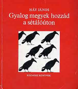 Gyalog megyek hozz�d a s�t�l��ton