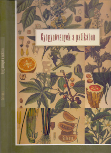 Gy�gyn�v�nyek a patik�ban