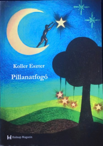 Pillanatfog