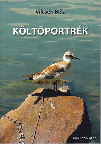 Kltportrk - rtelmezsek 2008-2012