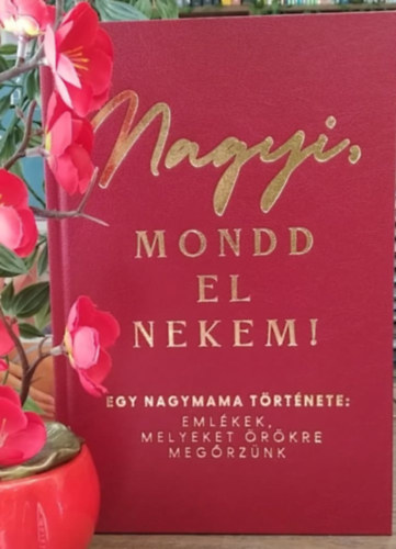 Mittay Emese - Nagyi, mondd el nekem! (Emlkknyv)