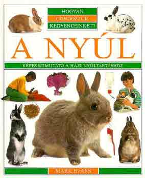 A nyl