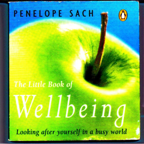 The little Book of Wellbeing