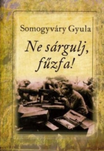 Ne s�rgulj, f�zfa!