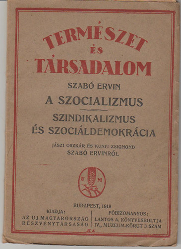 A szocializmus - Szindikalizmus s szocildemokrcia