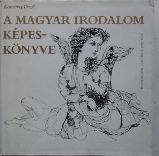 A magyar irodalom k�pesk�nyve