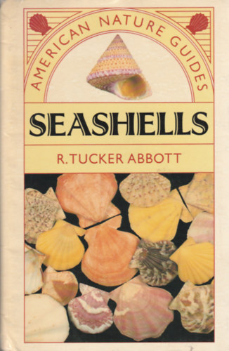 Seashells - American Nature Guides (Tengeri kagylk - Angol nyelv)