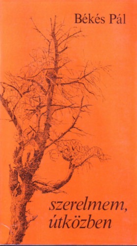 Szerelmem, �tk�zben