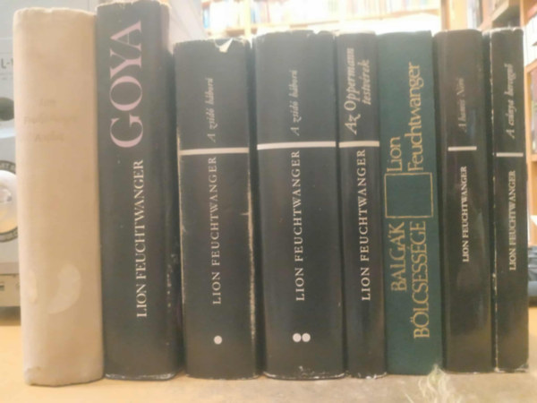 8 db Lion Feuchtwanger: A csnya hercegn; A hamis Nr; Az Oppermann testvrek; Balgk blcsessge; Goya; A siker; A zsid hbor I-II.