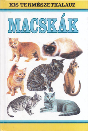 Macskk (Kis Termszetkalauz)