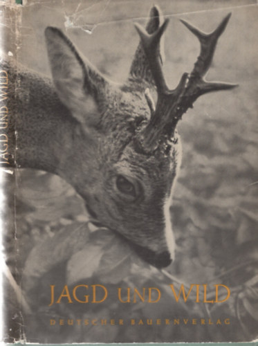 Jagd und Wild