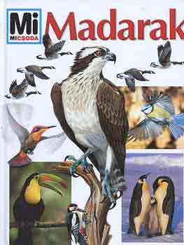 Mi micsoda? - Madarak