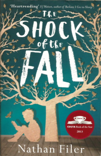 The Shock of the Fall