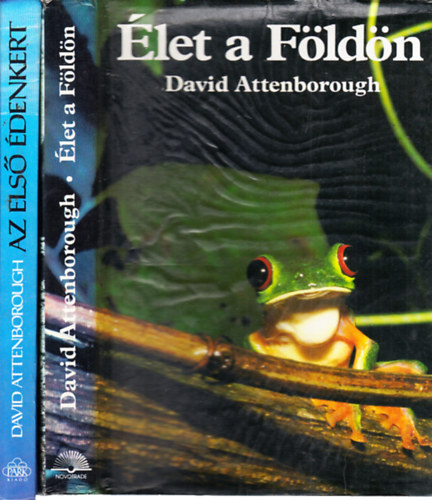 let a Fldn + Az els denkert (2 m)