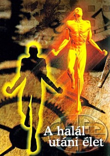 A hall utni let