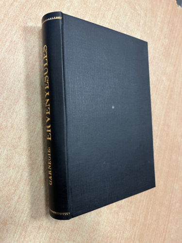 rvnyesls - Amerikai karrier-iskola (IV. kiads)