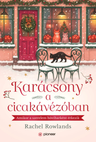 Kar�csony a cicak�v�z�ban