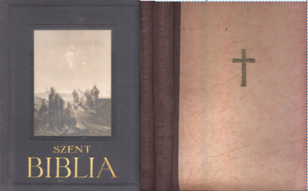 SZENT BIBLIA - A VULGATA SZERINT KLDI GYRGY S. J. FORDTSA NYOMN+ Krisztus lete I/III. (tredk) ( 3 ktet )