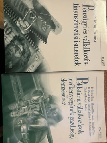 P�ldat�r a v�llalkoz�sok gazdas�gtan�hoz + P�nz�gyi �s v�llalkoz�sfinansz�roz�si ismeretek