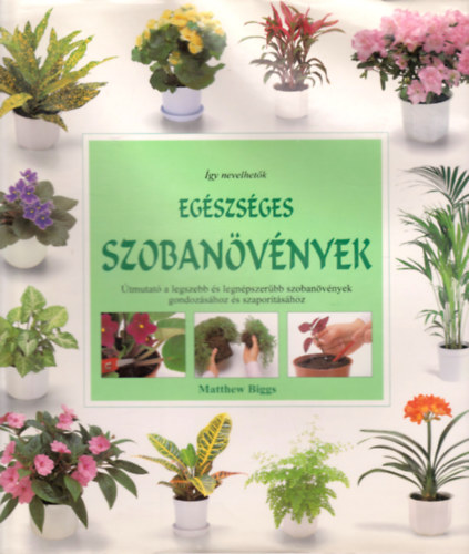 �gy nevelhet�k eg�szs�ges szoban�v�nyek