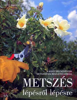 Steve Bradley - Metszs lpsrl lpsre