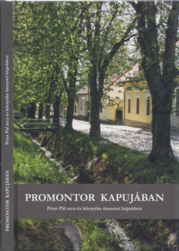 Promontor kapujban - Pter Pl utca s krnyke zenetei kpekben