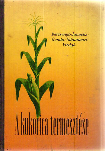 A kukorica termesztse