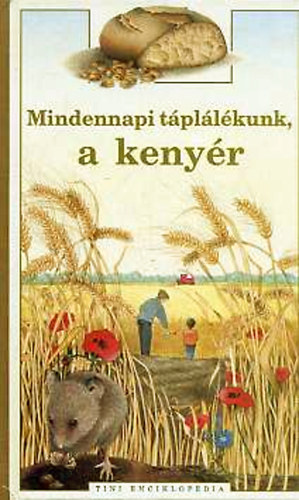 Mindennapi tpllkunk, a kenyr