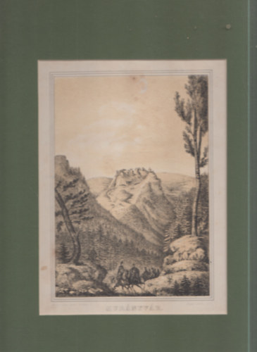 Mur�nyv�r (eredeti litogr�fia, paszpartuban)