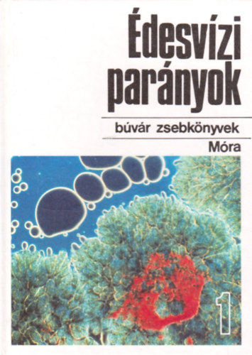 desvzi parnyok 1.